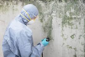 Best Mold Remediation for Healthcare Facilities  in Mexia, TX